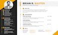 create a professional CV resume for job applications