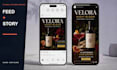 design matching social media feed and story graphics for your brand