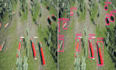 annotate images and video for object detection and segmentation datasets