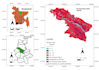 do gis mapping and remote sensing analysis using gee, arcgis and qgis