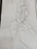a custom anime character sketch