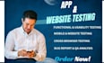 test your website and find bugs and usability issues