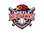 create creative good looking hawk and baseball  logo design