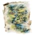 draw beautiful custom illustrated watercolour map