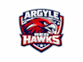 create wonderful excellent hawk and baseball logo design
