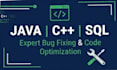 develop and debug java,cpp and sql software application