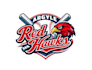 create graceful fantastic hawk and baseball logo design