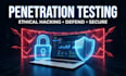 do web application security audit and penetration tasting