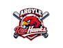 create wonderful excellent hawk and baseball logo design