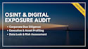 do osint investigation and digital exposure audit