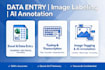 do accurate data entry, image labeling and ai data annotation