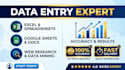 do expert data entry ms excel