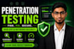 do professional penetration testing, website testing, and cybersecurity audit