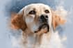 draw watercolor pet portrait
