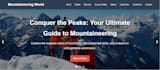build a responsive custom website