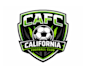 create attractive and imagination soccer logo design