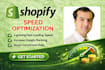 do shopify speed optimization, shopify website speed, shopify pagespeed score up