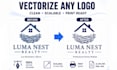 manually vectorize and fix your logo or image