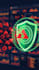 do a web application security audit and find vulnerabilities for you