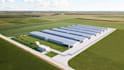 design 3d poultry farm, chicken house and broiler layer facility