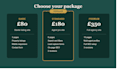 develop a property or real estate wordpress website