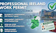 provide professional ireland work permit application guidance