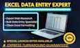do expert excel data entry and web research