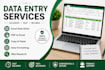 do accurate data entry, copy paste and excel work