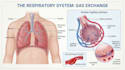 draw medical and science illustrations