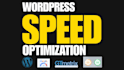 fix wordpress speed and core web vitals issues