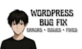 fix wordpress bugs, errors, and website issues