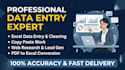 do professional data entry, ms excel, copy paste