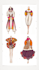 design  creative fashion designs