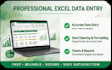 do professional excel data entry