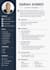 create professional CV and resume writing