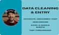 clean and organise your data, spreadsheets or data entry work