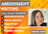 write the assignment as a professional assignment writer