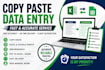 do fast and accurate copy paste data entry in excel