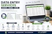 do excel data entry and data cleaning