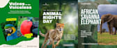 create graphic design and poster for your brand