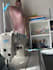 lean six sigma consulting for garment manufacturing