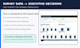 analyze your survey data and build an executive excel dashboard