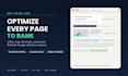 do professional on page SEO optimization and website audit