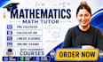 tutor you in calculus, algebra, and precalculus