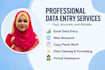 do data entry web research and excel data cleaning