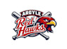 create attractive imagination hawk and baseball logo design