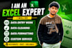 do data entry and data cleaning in microsoft excel