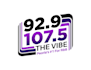 create professional and awesome radio logo design