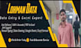 data entry, PDF to excel, google sheets expert