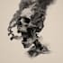 turn your skull concept into a professional illustration